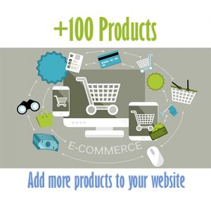 100 extra products Cheap website design