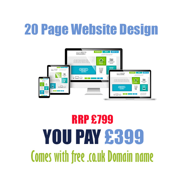 Cheap 20 page website design