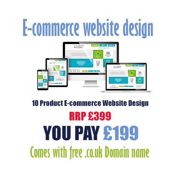 cheap 10 product ecommerce website design