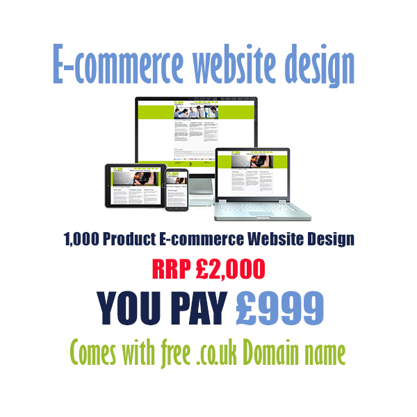 cheap 1000 product ecommerce website design