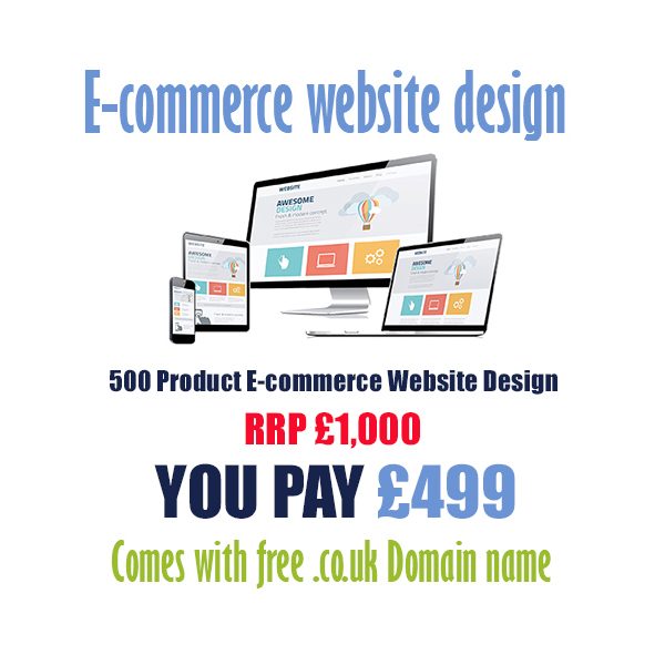 cheap 500 product ecommerce website design